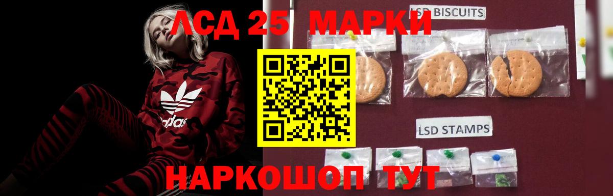 Нефтекумск    как зайти  Лсд 25 экстази кислота  Вход с VPN  Лсд 25 экстази ecstasy 