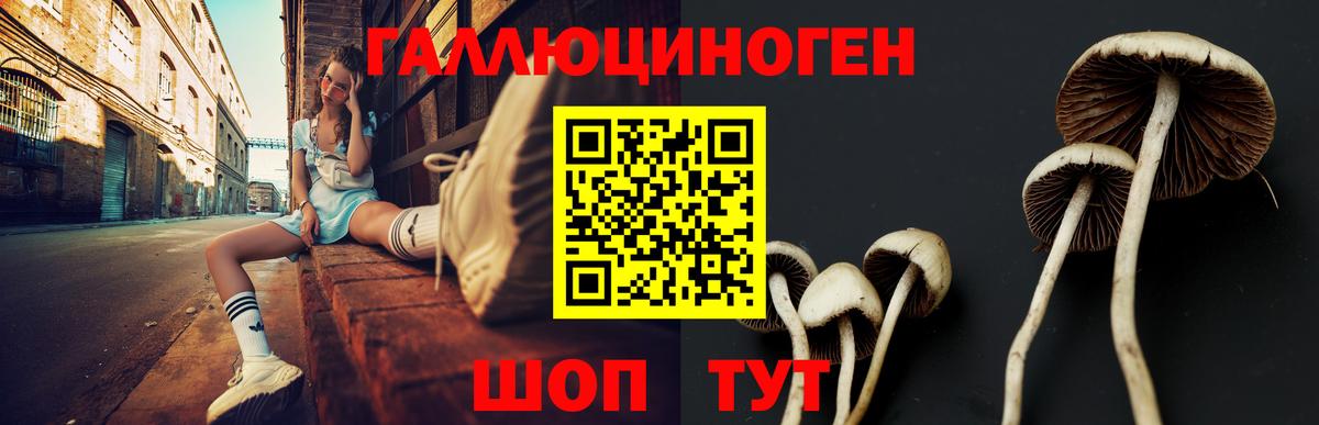 Галлюциногенные грибы ЛСД Нефтекумск